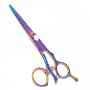 Professional Hair Cutting Scissors